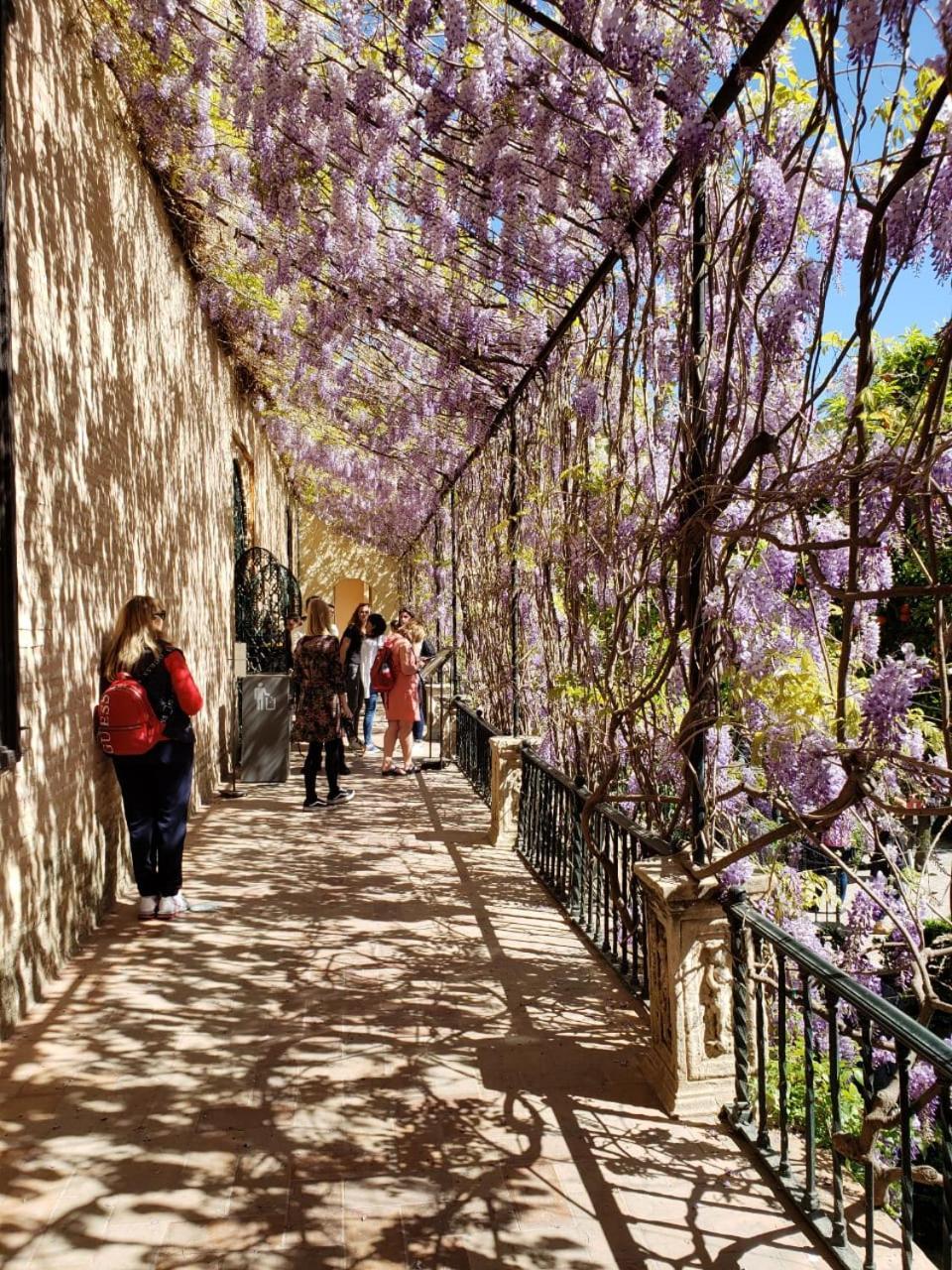 Apartamento Jardin de Santa Paula Sevilha Exterior foto